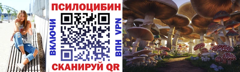 Псилоцибиновые грибы мухоморы  наркошоп  Томари 